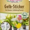 Bio Gelbstecker -Pflanzensamen Rabatt substral naturen bio gelbstecker 1 pkg 871086 de