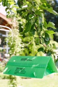 Bio Obstmaden-Falle -Pflanzensamen Rabatt substral naturen bio obstmaden falle 1 set 870838 de