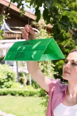 Bio Obstmaden-Falle -Pflanzensamen Rabatt substral naturen bio obstmaden falle 1 set 870865 de