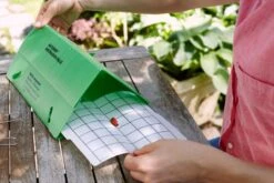 Bio Obstmaden-Falle Nachrüstset -Pflanzensamen Rabatt substral naturen bio obstmaden falle nachruestset 1 set 871008 de