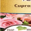 Cuproxat Flüssig, 250 Ml - Reg. Nr. 2097 1 Cuproxat Flüssig, 250 Ml - Reg. Nr. 2097 -Pflanzensamen Rabatt substral naturen cuproxat fluessig 250 ml 1669285 de