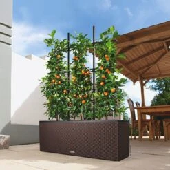 LECHUZA Rankgitter Für Pflanzgefäß TRIO 30, 1 Stück -Pflanzensamen Rabatt trio cottage rankgitter 628635 de