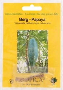 Berg-Papaya, 10 Korn -Pflanzensamen Rabatt tropica berg papaya 10 froen 1653084 de