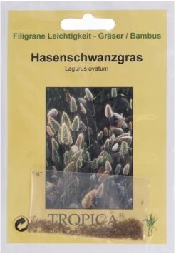 Hasenschwanzgras, 100 Korn 5 Hasenschwanzgras, 100 Korn -Pflanzensamen Rabatt tropica hasenschwanzgras 100 korn 522590 de