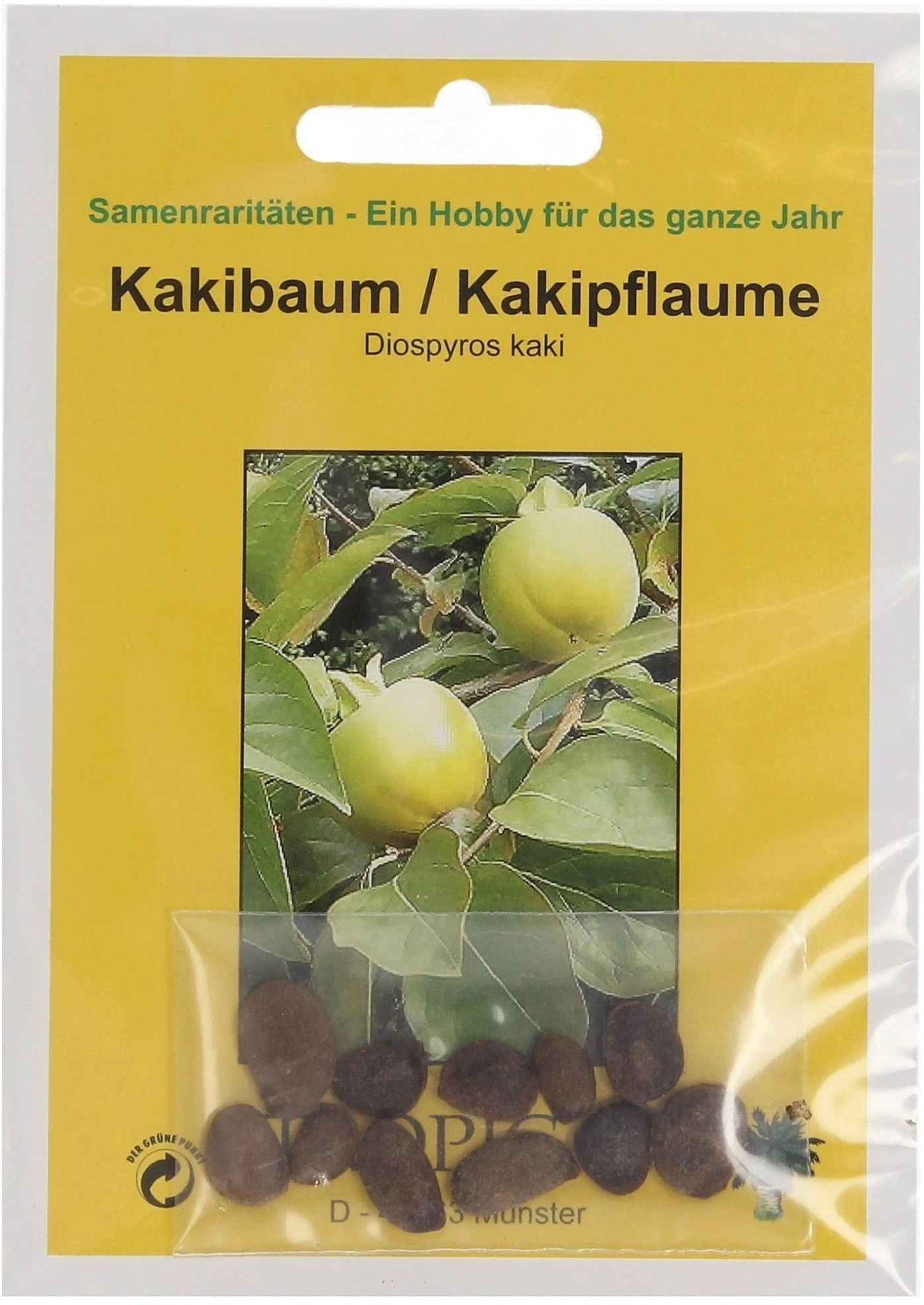 Kakibaum, 10 Korn 4 Kakibaum, 10 Korn – Bild 2