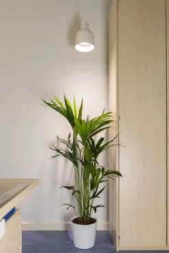 E27 Pflanzenlampe "Indoor Plants", 18 Watt -Pflanzensamen Rabatt venso e27 pflanzenlampe indoor plants 18 watt 884514 de