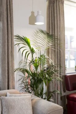 E27 Pflanzenlampe "Indoor Plants", 18 Watt -Pflanzensamen Rabatt venso e27 pflanzenlampe indoor plants 884493 de