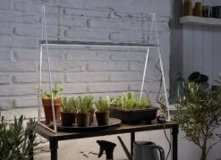 GrowLight Duo Mit Stativ -Pflanzensamen Rabatt venso growlight duo mit stativ 1 set 883983 de