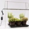 GrowLight Duo Mit Stativ 2 GrowLight Duo Mit Stativ -Pflanzensamen Rabatt venso growlight duo mit stativ 1 set 884014 de