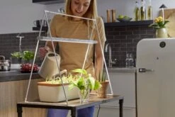 GrowLight Duo Mit Stativ -Pflanzensamen Rabatt venso growlight duo mit stativ 1 set 884021 de