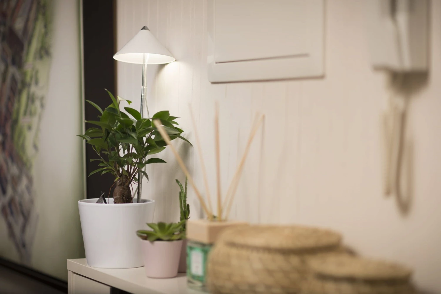 SUNLiTE Pflanzenlampe 7W, Weiß 3 SUNLiTE Pflanzenlampe 7W, Weiß