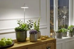 SUNLiTE Pflanzenlampe 7W, Weiß 9 SUNLiTE Pflanzenlampe 7W, Weiß -Pflanzensamen Rabatt venso sunlite pflanzenlampe 7w weiss 884211 de