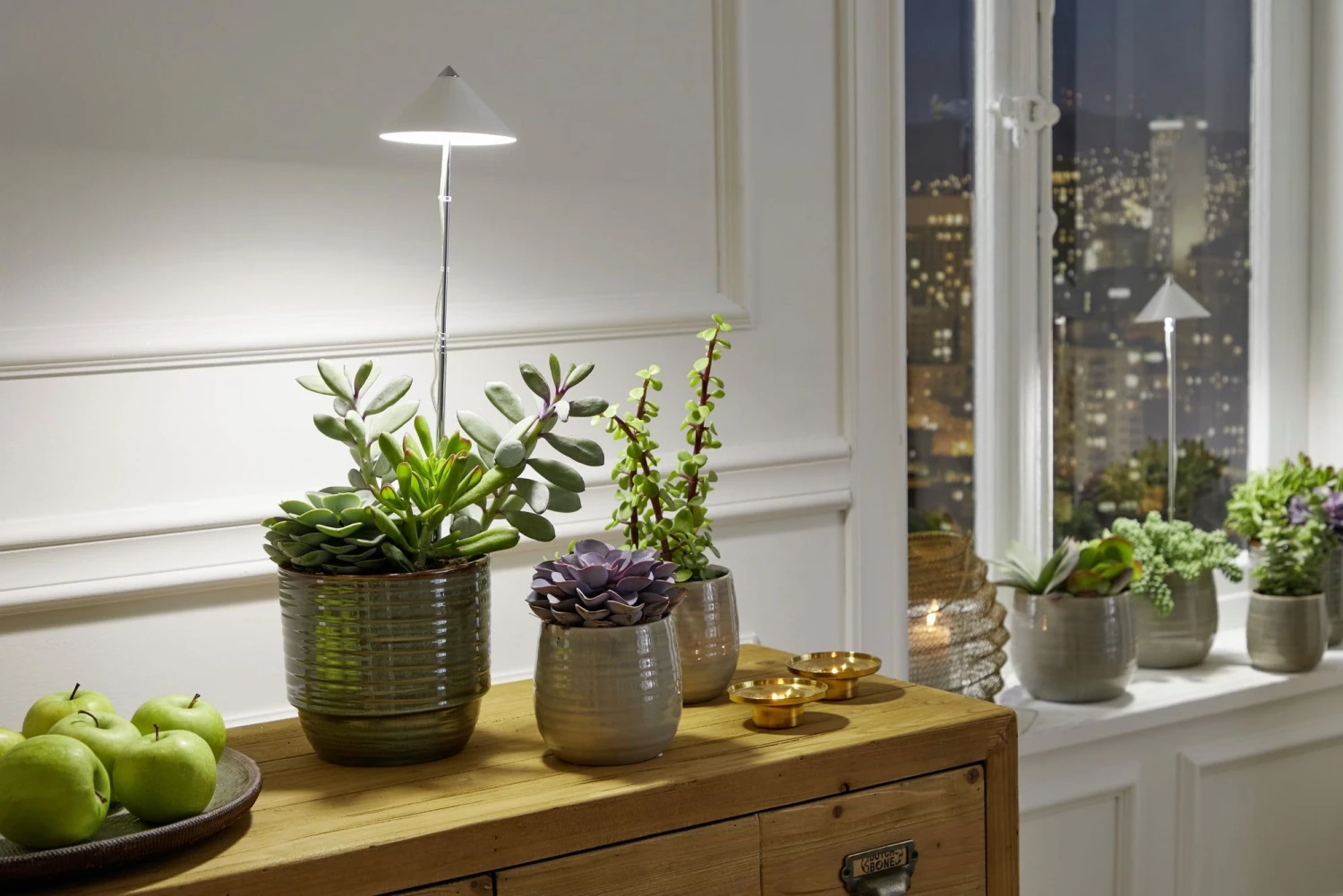 SUNLiTE Pflanzenlampe 7W, Weiß 5 SUNLiTE Pflanzenlampe 7W, Weiß – Bild 3