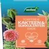 Westland Kakteen & Sukkulenten Erde TF, 4 L 2 Westland Kakteen & Sukkulenten Erde TF, 4 L -Pflanzensamen Rabatt westland kakteen sukkulenten erde tf 1630161 de