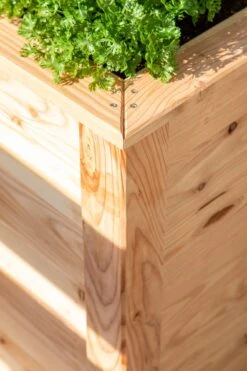 Hochbeet Lärche, 100