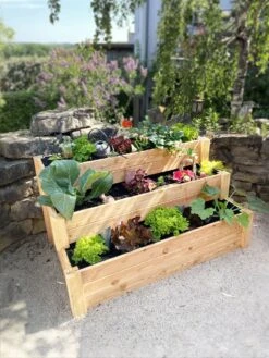 Premium Treppenhochbeet -Pflanzensamen Rabatt westmann premium treppenhochbeet 1 stk 1281375 de