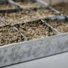 Anzuchtplatte Mit 70 Einzeltöpfen - Verzinkt -Pflanzensamen Rabatt wet by pot ole anzuchtplatte mit 70 einzeltoepfen verzinkt 1 set 1486451 de