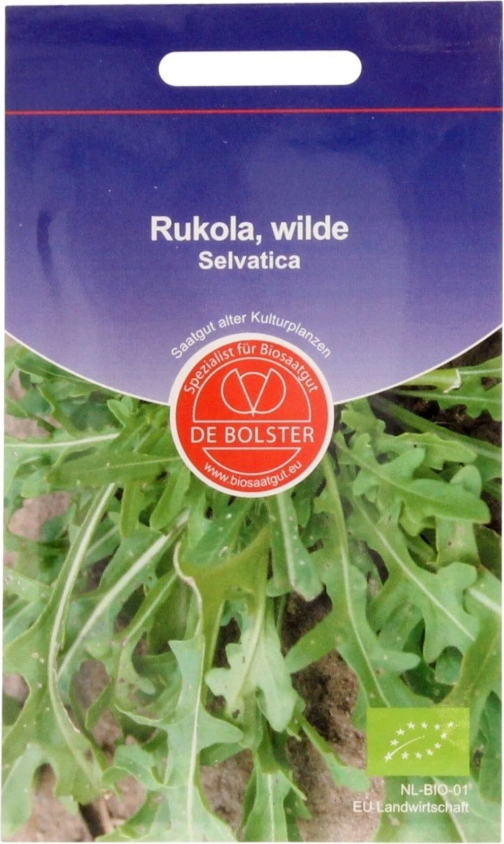 Wilder Rukola, 1 G 5 Wilder Rukola, 1 G – Bild 3