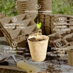 Windhager Anzucht-Töpfe 8 Cm Rund, 16 Stück -Pflanzensamen Rabatt windhager anzucht toepfe 8cm rund 16 k 1147657 de