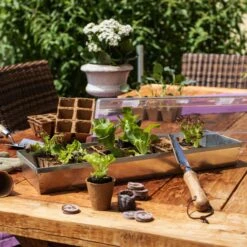 Windhager Anzuchtschale Verzinkt ÖKO -Pflanzensamen Rabatt windhager anzuchtschale verzinkt oeko 1 stk 876098 de