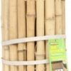Windhager Beeteinfassung Bambus -Pflanzensamen Rabatt windhager beeteinfassung bambus 1 st 1656150 de