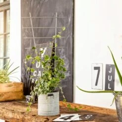 Windhager Blumenstütze Metall, 44x24cm -Pflanzensamen Rabatt windhager blumenstuetze metall 1471600 de