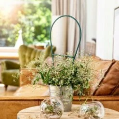 Windhager Bogenspalier -Pflanzensamen Rabatt windhager bogenspalier 1 k 1209538 de