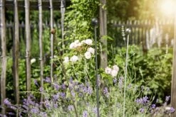 Windhager Deko-Pflanzstab-Kugel - 3er Set -Pflanzensamen Rabatt windhager deko pflanzstab kugel 90 cm 762837 de