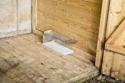 Windhager Drahtkasten-Rattenfalle 9 Windhager Drahtkasten-Rattenfalle -Pflanzensamen Rabatt windhager drahtkasten rattenfalle 1 stk 658993 de