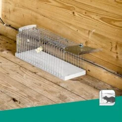 Windhager Drahtkasten-Rattenfalle 10 Windhager Drahtkasten-Rattenfalle -Pflanzensamen Rabatt windhager drahtkasten rattenfalle 1 stk 659013 de