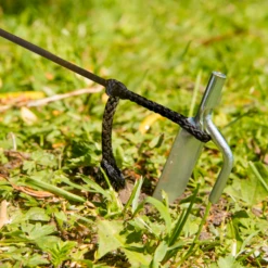 Windhager Erdnägel -Pflanzensamen Rabatt windhager erdnaegel 1 set 1670592 de