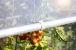 Windhager Ersatzclip Für Tomatenhaus Alustar -Pflanzensamen Rabatt windhager ersatzclip fuer tomatenhaus alustar 1 set 1670524 de