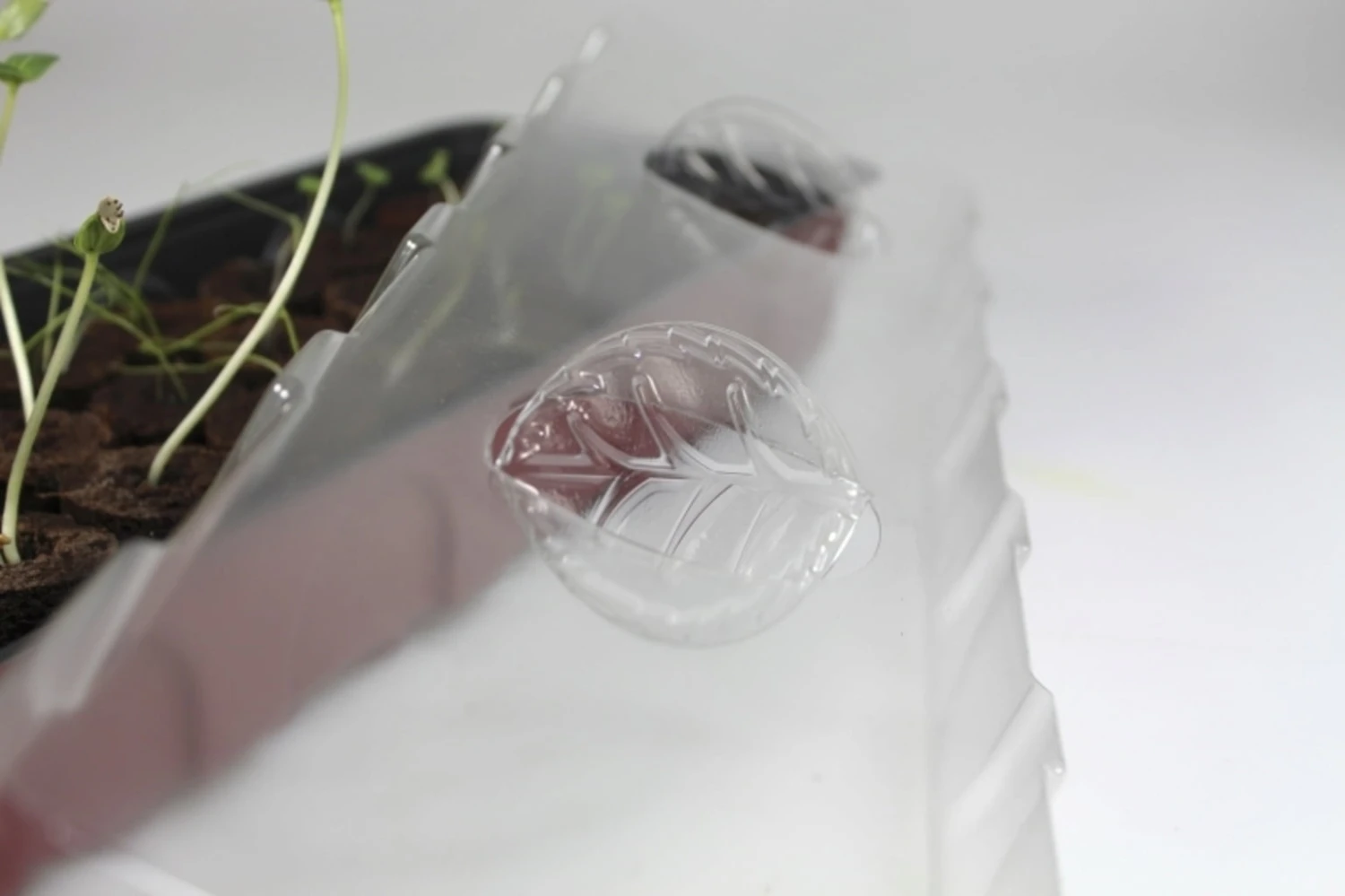 Windhager Fensterbank-Treibhaus 54,5x16,5 Cm 5 Windhager Fensterbank-Treibhaus 54,5x16,5 Cm – Bild 3