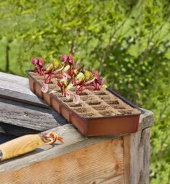 Windhager Fensterbank-Treibhaus Inkl. 30 Töpfe -Pflanzensamen Rabatt windhager fensterbank treibhaus inkl 30 toepfe 1 set 659783 de