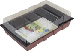 Windhager Fensterbank-Treibhaus Maxi -Pflanzensamen Rabatt windhager fensterbank treibhaus maxi 1 stk 659823 de