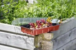 Windhager Fensterbank-Treibhaus Maxi -Pflanzensamen Rabatt windhager fensterbank treibhaus maxi 1 stk 659833 de