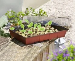 Windhager Fensterbank-Treibhaus Maxi -Pflanzensamen Rabatt windhager fensterbank treibhaus maxi 1 stk 659853 de