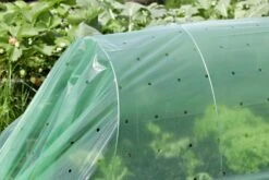 Windhager Folien-Tunnel Komplett Set -Pflanzensamen Rabatt windhager folien tunnel komplett set 1 set 761377 de