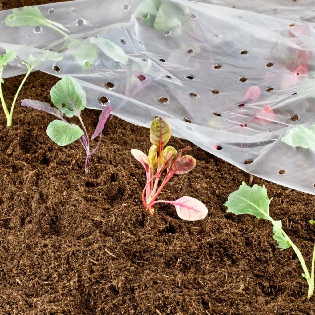 Windhager Frühbeet-Folie 5 Windhager Frühbeet-Folie – Bild 3