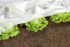 Windhager Garten-Vlies -Pflanzensamen Rabatt windhager garten vlies 1 st 1656236 de