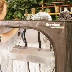 Windhager Growbox Starterset -Pflanzensamen Rabatt windhager growbox starterset 1 set 1118977 de