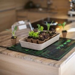 Windhager Heizmatte 51 X 53 Cm, 45 Watt -Pflanzensamen Rabatt windhager heizmatte 51 x 53 cm 45 watt 1 stk 1043570 de