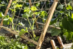 Windhager Holz-Rankzelt -Pflanzensamen Rabatt windhager holz rankzelt 1683924 de