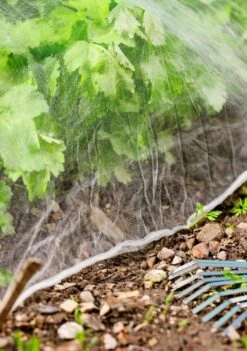 Windhager Insektenschutz-Netz 8 Windhager Insektenschutz-Netz -Pflanzensamen Rabatt windhager insektenschutz netz 1 st 1666264 de