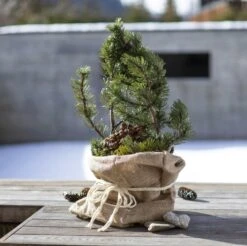 Windhager Jute-Sack Natur Öko, 3er Pack -Pflanzensamen Rabatt windhager jute sack natur oeko 3er pack 1 set 1044406 de