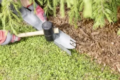 Windhager Mähkante EasyCut -Pflanzensamen Rabatt windhager maehkante easycut 1683921 de