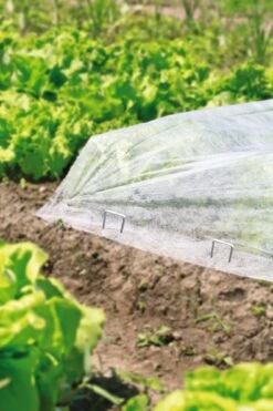 Windhager Metall-Heringe -Pflanzensamen Rabatt windhager metall heringe 1 set 761994 de