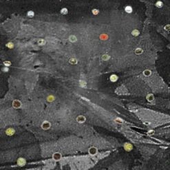 Windhager Mulch-Folie -Pflanzensamen Rabatt windhager mulch folie 1 st 1670529 de