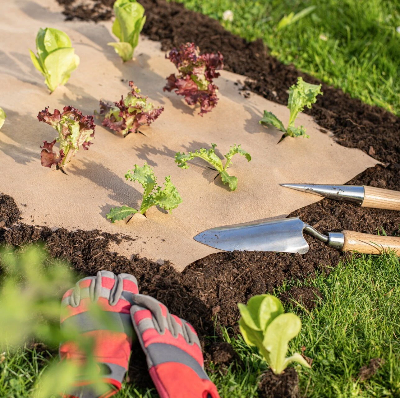 Windhager Mulchpapier 3 Windhager Mulchpapier