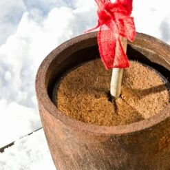 Windhager Mulchscheibe Cocodisc, 25 Cm -Pflanzensamen Rabatt windhager mulchscheibe cocodisc 1209372 de